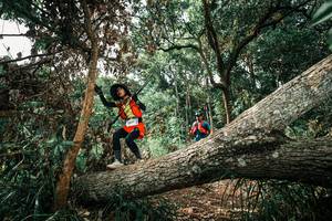 BIB: 
                            <button type="button" onclick="openModal(25548698)" class="btn btn-primary btn-sm float-right btn-popup" data-toggle="modal" data-target=".modal-high-quality">
                        <i class="fas fa-shopping-cart"></i> Add to Cart
                    </button>
                                            <button type="button" onclick="isThisMe(25548698, true)" class="btn btn-success btn-sm float-right btn-popup btn-isme hidden" data-toggle="tooltip" data-placement="bottom" title="นี่คือรูปของคุณใช่ไหม คลิกที่นี่เพื่อเอาเข้าอัลบั้ม">
                        <i class="fas fa-plus"></i> Add to album
                    </button>
                    <button type="button" onclick="isThisMe(25548698, false)" class="btn btn-warning btn-sm float-right btn-popup btn-isnotme hidden">
                        <i class="fas fa-ban"></i> Remove from album
                    </button>