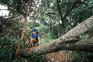 BIB: 
                            <button type="button" onclick="openModal(25542065)" class="btn btn-primary btn-sm float-right btn-popup" data-toggle="modal" data-target=".modal-high-quality">
                        <i class="fas fa-shopping-cart"></i> Add to Cart
                    </button>
                                            <button type="button" onclick="isThisMe(25542065, true)" class="btn btn-success btn-sm float-right btn-popup btn-isme hidden" data-toggle="tooltip" data-placement="bottom" title="นี่คือรูปของคุณใช่ไหม คลิกที่นี่เพื่อเอาเข้าอัลบั้ม">
                        <i class="fas fa-plus"></i> Add to album
                    </button>
                    <button type="button" onclick="isThisMe(25542065, false)" class="btn btn-warning btn-sm float-right btn-popup btn-isnotme hidden">
                        <i class="fas fa-ban"></i> Remove from album
                    </button>