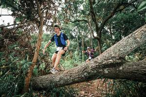 BIB: 
                            <button type="button" onclick="openModal(25545088)" class="btn btn-primary btn-sm float-right btn-popup" data-toggle="modal" data-target=".modal-high-quality">
                        <i class="fas fa-shopping-cart"></i> Add to Cart
                    </button>
                                            <button type="button" onclick="isThisMe(25545088, true)" class="btn btn-success btn-sm float-right btn-popup btn-isme hidden" data-toggle="tooltip" data-placement="bottom" title="นี่คือรูปของคุณใช่ไหม คลิกที่นี่เพื่อเอาเข้าอัลบั้ม">
                        <i class="fas fa-plus"></i> Add to album
                    </button>
                    <button type="button" onclick="isThisMe(25545088, false)" class="btn btn-warning btn-sm float-right btn-popup btn-isnotme hidden">
                        <i class="fas fa-ban"></i> Remove from album
                    </button>