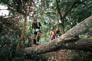 BIB: 
                            <button type="button" onclick="openModal(25533478)" class="btn btn-primary btn-sm float-right btn-popup" data-toggle="modal" data-target=".modal-high-quality">
                        <i class="fas fa-shopping-cart"></i> Add to Cart
                    </button>
                                            <button type="button" onclick="isThisMe(25533478, true)" class="btn btn-success btn-sm float-right btn-popup btn-isme hidden" data-toggle="tooltip" data-placement="bottom" title="นี่คือรูปของคุณใช่ไหม คลิกที่นี่เพื่อเอาเข้าอัลบั้ม">
                        <i class="fas fa-plus"></i> Add to album
                    </button>
                    <button type="button" onclick="isThisMe(25533478, false)" class="btn btn-warning btn-sm float-right btn-popup btn-isnotme hidden">
                        <i class="fas fa-ban"></i> Remove from album
                    </button>