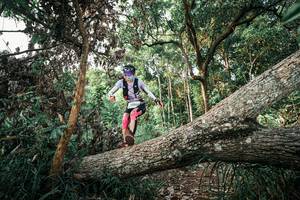 BIB: 
                            <button type="button" onclick="openModal(25527671)" class="btn btn-primary btn-sm float-right btn-popup" data-toggle="modal" data-target=".modal-high-quality">
                        <i class="fas fa-shopping-cart"></i> Add to Cart
                    </button>
                                            <button type="button" onclick="isThisMe(25527671, true)" class="btn btn-success btn-sm float-right btn-popup btn-isme hidden" data-toggle="tooltip" data-placement="bottom" title="นี่คือรูปของคุณใช่ไหม คลิกที่นี่เพื่อเอาเข้าอัลบั้ม">
                        <i class="fas fa-plus"></i> Add to album
                    </button>
                    <button type="button" onclick="isThisMe(25527671, false)" class="btn btn-warning btn-sm float-right btn-popup btn-isnotme hidden">
                        <i class="fas fa-ban"></i> Remove from album
                    </button>