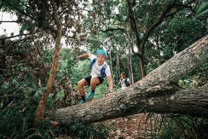 BIB: 
                            <button type="button" onclick="openModal(25530548)" class="btn btn-primary btn-sm float-right btn-popup" data-toggle="modal" data-target=".modal-high-quality">
                        <i class="fas fa-shopping-cart"></i> Add to Cart
                    </button>
                                            <button type="button" onclick="isThisMe(25530548, true)" class="btn btn-success btn-sm float-right btn-popup btn-isme hidden" data-toggle="tooltip" data-placement="bottom" title="นี่คือรูปของคุณใช่ไหม คลิกที่นี่เพื่อเอาเข้าอัลบั้ม">
                        <i class="fas fa-plus"></i> Add to album
                    </button>
                    <button type="button" onclick="isThisMe(25530548, false)" class="btn btn-warning btn-sm float-right btn-popup btn-isnotme hidden">
                        <i class="fas fa-ban"></i> Remove from album
                    </button>