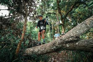 BIB: 
                            <button type="button" onclick="openModal(25526826)" class="btn btn-primary btn-sm float-right btn-popup" data-toggle="modal" data-target=".modal-high-quality">
                        <i class="fas fa-shopping-cart"></i> Add to Cart
                    </button>
                                            <button type="button" onclick="isThisMe(25526826, true)" class="btn btn-success btn-sm float-right btn-popup btn-isme hidden" data-toggle="tooltip" data-placement="bottom" title="นี่คือรูปของคุณใช่ไหม คลิกที่นี่เพื่อเอาเข้าอัลบั้ม">
                        <i class="fas fa-plus"></i> Add to album
                    </button>
                    <button type="button" onclick="isThisMe(25526826, false)" class="btn btn-warning btn-sm float-right btn-popup btn-isnotme hidden">
                        <i class="fas fa-ban"></i> Remove from album
                    </button>