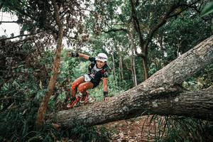 BIB: 
                            <button type="button" onclick="openModal(25530466)" class="btn btn-primary btn-sm float-right btn-popup" data-toggle="modal" data-target=".modal-high-quality">
                        <i class="fas fa-shopping-cart"></i> Add to Cart
                    </button>
                                            <button type="button" onclick="isThisMe(25530466, true)" class="btn btn-success btn-sm float-right btn-popup btn-isme hidden" data-toggle="tooltip" data-placement="bottom" title="นี่คือรูปของคุณใช่ไหม คลิกที่นี่เพื่อเอาเข้าอัลบั้ม">
                        <i class="fas fa-plus"></i> Add to album
                    </button>
                    <button type="button" onclick="isThisMe(25530466, false)" class="btn btn-warning btn-sm float-right btn-popup btn-isnotme hidden">
                        <i class="fas fa-ban"></i> Remove from album
                    </button>