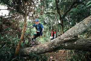 BIB: 
                            <button type="button" onclick="openModal(25537788)" class="btn btn-primary btn-sm float-right btn-popup" data-toggle="modal" data-target=".modal-high-quality">
                        <i class="fas fa-shopping-cart"></i> Add to Cart
                    </button>
                                            <button type="button" onclick="isThisMe(25537788, true)" class="btn btn-success btn-sm float-right btn-popup btn-isme hidden" data-toggle="tooltip" data-placement="bottom" title="นี่คือรูปของคุณใช่ไหม คลิกที่นี่เพื่อเอาเข้าอัลบั้ม">
                        <i class="fas fa-plus"></i> Add to album
                    </button>
                    <button type="button" onclick="isThisMe(25537788, false)" class="btn btn-warning btn-sm float-right btn-popup btn-isnotme hidden">
                        <i class="fas fa-ban"></i> Remove from album
                    </button>