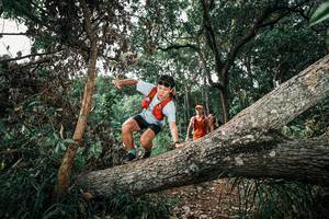 BIB: 
                            <button type="button" onclick="openModal(25535776)" class="btn btn-primary btn-sm float-right btn-popup" data-toggle="modal" data-target=".modal-high-quality">
                        <i class="fas fa-shopping-cart"></i> Add to Cart
                    </button>
                                            <button type="button" onclick="isThisMe(25535776, true)" class="btn btn-success btn-sm float-right btn-popup btn-isme hidden" data-toggle="tooltip" data-placement="bottom" title="นี่คือรูปของคุณใช่ไหม คลิกที่นี่เพื่อเอาเข้าอัลบั้ม">
                        <i class="fas fa-plus"></i> Add to album
                    </button>
                    <button type="button" onclick="isThisMe(25535776, false)" class="btn btn-warning btn-sm float-right btn-popup btn-isnotme hidden">
                        <i class="fas fa-ban"></i> Remove from album
                    </button>