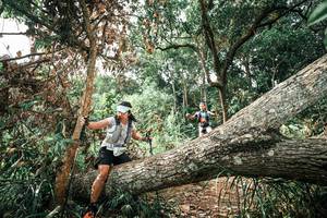 BIB: 
                            <button type="button" onclick="openModal(25543344)" class="btn btn-primary btn-sm float-right btn-popup" data-toggle="modal" data-target=".modal-high-quality">
                        <i class="fas fa-shopping-cart"></i> Add to Cart
                    </button>
                                            <button type="button" onclick="isThisMe(25543344, true)" class="btn btn-success btn-sm float-right btn-popup btn-isme hidden" data-toggle="tooltip" data-placement="bottom" title="นี่คือรูปของคุณใช่ไหม คลิกที่นี่เพื่อเอาเข้าอัลบั้ม">
                        <i class="fas fa-plus"></i> Add to album
                    </button>
                    <button type="button" onclick="isThisMe(25543344, false)" class="btn btn-warning btn-sm float-right btn-popup btn-isnotme hidden">
                        <i class="fas fa-ban"></i> Remove from album
                    </button>