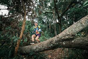 BIB: 
                            <button type="button" onclick="openModal(25543923)" class="btn btn-primary btn-sm float-right btn-popup" data-toggle="modal" data-target=".modal-high-quality">
                        <i class="fas fa-shopping-cart"></i> Add to Cart
                    </button>
                                            <button type="button" onclick="isThisMe(25543923, true)" class="btn btn-success btn-sm float-right btn-popup btn-isme hidden" data-toggle="tooltip" data-placement="bottom" title="นี่คือรูปของคุณใช่ไหม คลิกที่นี่เพื่อเอาเข้าอัลบั้ม">
                        <i class="fas fa-plus"></i> Add to album
                    </button>
                    <button type="button" onclick="isThisMe(25543923, false)" class="btn btn-warning btn-sm float-right btn-popup btn-isnotme hidden">
                        <i class="fas fa-ban"></i> Remove from album
                    </button>