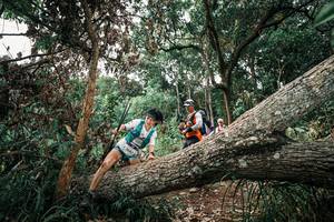 BIB: 
                            <button type="button" onclick="openModal(25532278)" class="btn btn-primary btn-sm float-right btn-popup" data-toggle="modal" data-target=".modal-high-quality">
                        <i class="fas fa-shopping-cart"></i> Add to Cart
                    </button>
                                            <button type="button" onclick="isThisMe(25532278, true)" class="btn btn-success btn-sm float-right btn-popup btn-isme hidden" data-toggle="tooltip" data-placement="bottom" title="นี่คือรูปของคุณใช่ไหม คลิกที่นี่เพื่อเอาเข้าอัลบั้ม">
                        <i class="fas fa-plus"></i> Add to album
                    </button>
                    <button type="button" onclick="isThisMe(25532278, false)" class="btn btn-warning btn-sm float-right btn-popup btn-isnotme hidden">
                        <i class="fas fa-ban"></i> Remove from album
                    </button>