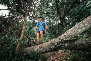 BIB: 
                            <button type="button" onclick="openModal(25536024)" class="btn btn-primary btn-sm float-right btn-popup" data-toggle="modal" data-target=".modal-high-quality">
                        <i class="fas fa-shopping-cart"></i> Add to Cart
                    </button>
                                            <button type="button" onclick="isThisMe(25536024, true)" class="btn btn-success btn-sm float-right btn-popup btn-isme hidden" data-toggle="tooltip" data-placement="bottom" title="นี่คือรูปของคุณใช่ไหม คลิกที่นี่เพื่อเอาเข้าอัลบั้ม">
                        <i class="fas fa-plus"></i> Add to album
                    </button>
                    <button type="button" onclick="isThisMe(25536024, false)" class="btn btn-warning btn-sm float-right btn-popup btn-isnotme hidden">
                        <i class="fas fa-ban"></i> Remove from album
                    </button>