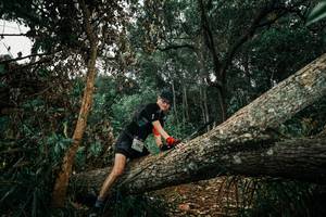 BIB: 
                            <button type="button" onclick="openModal(25551603)" class="btn btn-primary btn-sm float-right btn-popup" data-toggle="modal" data-target=".modal-high-quality">
                        <i class="fas fa-shopping-cart"></i> Add to Cart
                    </button>
                                            <button type="button" onclick="isThisMe(25551603, true)" class="btn btn-success btn-sm float-right btn-popup btn-isme hidden" data-toggle="tooltip" data-placement="bottom" title="นี่คือรูปของคุณใช่ไหม คลิกที่นี่เพื่อเอาเข้าอัลบั้ม">
                        <i class="fas fa-plus"></i> Add to album
                    </button>
                    <button type="button" onclick="isThisMe(25551603, false)" class="btn btn-warning btn-sm float-right btn-popup btn-isnotme hidden">
                        <i class="fas fa-ban"></i> Remove from album
                    </button>