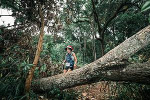 BIB: 
                            <button type="button" onclick="openModal(25539279)" class="btn btn-primary btn-sm float-right btn-popup" data-toggle="modal" data-target=".modal-high-quality">
                        <i class="fas fa-shopping-cart"></i> Add to Cart
                    </button>
                                            <button type="button" onclick="isThisMe(25539279, true)" class="btn btn-success btn-sm float-right btn-popup btn-isme hidden" data-toggle="tooltip" data-placement="bottom" title="นี่คือรูปของคุณใช่ไหม คลิกที่นี่เพื่อเอาเข้าอัลบั้ม">
                        <i class="fas fa-plus"></i> Add to album
                    </button>
                    <button type="button" onclick="isThisMe(25539279, false)" class="btn btn-warning btn-sm float-right btn-popup btn-isnotme hidden">
                        <i class="fas fa-ban"></i> Remove from album
                    </button>