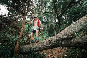 BIB: 
                            <button type="button" onclick="openModal(25546001)" class="btn btn-primary btn-sm float-right btn-popup" data-toggle="modal" data-target=".modal-high-quality">
                        <i class="fas fa-shopping-cart"></i> Add to Cart
                    </button>
                                            <button type="button" onclick="isThisMe(25546001, true)" class="btn btn-success btn-sm float-right btn-popup btn-isme hidden" data-toggle="tooltip" data-placement="bottom" title="นี่คือรูปของคุณใช่ไหม คลิกที่นี่เพื่อเอาเข้าอัลบั้ม">
                        <i class="fas fa-plus"></i> Add to album
                    </button>
                    <button type="button" onclick="isThisMe(25546001, false)" class="btn btn-warning btn-sm float-right btn-popup btn-isnotme hidden">
                        <i class="fas fa-ban"></i> Remove from album
                    </button>