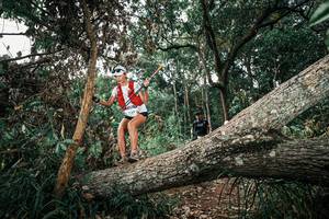 BIB: 
                            <button type="button" onclick="openModal(25536757)" class="btn btn-primary btn-sm float-right btn-popup" data-toggle="modal" data-target=".modal-high-quality">
                        <i class="fas fa-shopping-cart"></i> Add to Cart
                    </button>
                                            <button type="button" onclick="isThisMe(25536757, true)" class="btn btn-success btn-sm float-right btn-popup btn-isme hidden" data-toggle="tooltip" data-placement="bottom" title="นี่คือรูปของคุณใช่ไหม คลิกที่นี่เพื่อเอาเข้าอัลบั้ม">
                        <i class="fas fa-plus"></i> Add to album
                    </button>
                    <button type="button" onclick="isThisMe(25536757, false)" class="btn btn-warning btn-sm float-right btn-popup btn-isnotme hidden">
                        <i class="fas fa-ban"></i> Remove from album
                    </button>