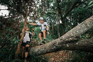 BIB: 
                            <button type="button" onclick="openModal(25546910)" class="btn btn-primary btn-sm float-right btn-popup" data-toggle="modal" data-target=".modal-high-quality">
                        <i class="fas fa-shopping-cart"></i> Add to Cart
                    </button>
                                            <button type="button" onclick="isThisMe(25546910, true)" class="btn btn-success btn-sm float-right btn-popup btn-isme hidden" data-toggle="tooltip" data-placement="bottom" title="นี่คือรูปของคุณใช่ไหม คลิกที่นี่เพื่อเอาเข้าอัลบั้ม">
                        <i class="fas fa-plus"></i> Add to album
                    </button>
                    <button type="button" onclick="isThisMe(25546910, false)" class="btn btn-warning btn-sm float-right btn-popup btn-isnotme hidden">
                        <i class="fas fa-ban"></i> Remove from album
                    </button>