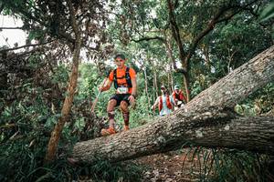 BIB: 
                            <button type="button" onclick="openModal(25528929)" class="btn btn-primary btn-sm float-right btn-popup" data-toggle="modal" data-target=".modal-high-quality">
                        <i class="fas fa-shopping-cart"></i> Add to Cart
                    </button>
                                            <button type="button" onclick="isThisMe(25528929, true)" class="btn btn-success btn-sm float-right btn-popup btn-isme hidden" data-toggle="tooltip" data-placement="bottom" title="นี่คือรูปของคุณใช่ไหม คลิกที่นี่เพื่อเอาเข้าอัลบั้ม">
                        <i class="fas fa-plus"></i> Add to album
                    </button>
                    <button type="button" onclick="isThisMe(25528929, false)" class="btn btn-warning btn-sm float-right btn-popup btn-isnotme hidden">
                        <i class="fas fa-ban"></i> Remove from album
                    </button>