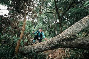 BIB: 
                            <button type="button" onclick="openModal(25539228)" class="btn btn-primary btn-sm float-right btn-popup" data-toggle="modal" data-target=".modal-high-quality">
                        <i class="fas fa-shopping-cart"></i> Add to Cart
                    </button>
                                            <button type="button" onclick="isThisMe(25539228, true)" class="btn btn-success btn-sm float-right btn-popup btn-isme hidden" data-toggle="tooltip" data-placement="bottom" title="นี่คือรูปของคุณใช่ไหม คลิกที่นี่เพื่อเอาเข้าอัลบั้ม">
                        <i class="fas fa-plus"></i> Add to album
                    </button>
                    <button type="button" onclick="isThisMe(25539228, false)" class="btn btn-warning btn-sm float-right btn-popup btn-isnotme hidden">
                        <i class="fas fa-ban"></i> Remove from album
                    </button>