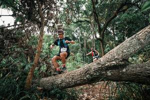 BIB: 
                            <button type="button" onclick="openModal(25529853)" class="btn btn-primary btn-sm float-right btn-popup" data-toggle="modal" data-target=".modal-high-quality">
                        <i class="fas fa-shopping-cart"></i> Add to Cart
                    </button>
                                            <button type="button" onclick="isThisMe(25529853, true)" class="btn btn-success btn-sm float-right btn-popup btn-isme hidden" data-toggle="tooltip" data-placement="bottom" title="นี่คือรูปของคุณใช่ไหม คลิกที่นี่เพื่อเอาเข้าอัลบั้ม">
                        <i class="fas fa-plus"></i> Add to album
                    </button>
                    <button type="button" onclick="isThisMe(25529853, false)" class="btn btn-warning btn-sm float-right btn-popup btn-isnotme hidden">
                        <i class="fas fa-ban"></i> Remove from album
                    </button>