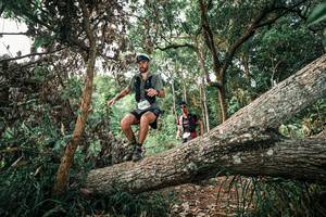 BIB: 
                            <button type="button" onclick="openModal(25529076)" class="btn btn-primary btn-sm float-right btn-popup" data-toggle="modal" data-target=".modal-high-quality">
                        <i class="fas fa-shopping-cart"></i> Add to Cart
                    </button>
                                            <button type="button" onclick="isThisMe(25529076, true)" class="btn btn-success btn-sm float-right btn-popup btn-isme hidden" data-toggle="tooltip" data-placement="bottom" title="นี่คือรูปของคุณใช่ไหม คลิกที่นี่เพื่อเอาเข้าอัลบั้ม">
                        <i class="fas fa-plus"></i> Add to album
                    </button>
                    <button type="button" onclick="isThisMe(25529076, false)" class="btn btn-warning btn-sm float-right btn-popup btn-isnotme hidden">
                        <i class="fas fa-ban"></i> Remove from album
                    </button>