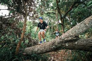 BIB: 
                            <button type="button" onclick="openModal(25529165)" class="btn btn-primary btn-sm float-right btn-popup" data-toggle="modal" data-target=".modal-high-quality">
                        <i class="fas fa-shopping-cart"></i> Add to Cart
                    </button>
                                            <button type="button" onclick="isThisMe(25529165, true)" class="btn btn-success btn-sm float-right btn-popup btn-isme hidden" data-toggle="tooltip" data-placement="bottom" title="นี่คือรูปของคุณใช่ไหม คลิกที่นี่เพื่อเอาเข้าอัลบั้ม">
                        <i class="fas fa-plus"></i> Add to album
                    </button>
                    <button type="button" onclick="isThisMe(25529165, false)" class="btn btn-warning btn-sm float-right btn-popup btn-isnotme hidden">
                        <i class="fas fa-ban"></i> Remove from album
                    </button>