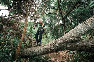 BIB: 
                            <button type="button" onclick="openModal(25545119)" class="btn btn-primary btn-sm float-right btn-popup" data-toggle="modal" data-target=".modal-high-quality">
                        <i class="fas fa-shopping-cart"></i> Add to Cart
                    </button>
                                            <button type="button" onclick="isThisMe(25545119, true)" class="btn btn-success btn-sm float-right btn-popup btn-isme hidden" data-toggle="tooltip" data-placement="bottom" title="นี่คือรูปของคุณใช่ไหม คลิกที่นี่เพื่อเอาเข้าอัลบั้ม">
                        <i class="fas fa-plus"></i> Add to album
                    </button>
                    <button type="button" onclick="isThisMe(25545119, false)" class="btn btn-warning btn-sm float-right btn-popup btn-isnotme hidden">
                        <i class="fas fa-ban"></i> Remove from album
                    </button>