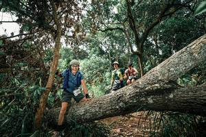 BIB: 
                            <button type="button" onclick="openModal(25549430)" class="btn btn-primary btn-sm float-right btn-popup" data-toggle="modal" data-target=".modal-high-quality">
                        <i class="fas fa-shopping-cart"></i> Add to Cart
                    </button>
                                            <button type="button" onclick="isThisMe(25549430, true)" class="btn btn-success btn-sm float-right btn-popup btn-isme hidden" data-toggle="tooltip" data-placement="bottom" title="นี่คือรูปของคุณใช่ไหม คลิกที่นี่เพื่อเอาเข้าอัลบั้ม">
                        <i class="fas fa-plus"></i> Add to album
                    </button>
                    <button type="button" onclick="isThisMe(25549430, false)" class="btn btn-warning btn-sm float-right btn-popup btn-isnotme hidden">
                        <i class="fas fa-ban"></i> Remove from album
                    </button>