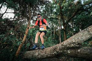 BIB: 
                            <button type="button" onclick="openModal(25525608)" class="btn btn-primary btn-sm float-right btn-popup" data-toggle="modal" data-target=".modal-high-quality">
                        <i class="fas fa-shopping-cart"></i> Add to Cart
                    </button>
                                            <button type="button" onclick="isThisMe(25525608, true)" class="btn btn-success btn-sm float-right btn-popup btn-isme hidden" data-toggle="tooltip" data-placement="bottom" title="นี่คือรูปของคุณใช่ไหม คลิกที่นี่เพื่อเอาเข้าอัลบั้ม">
                        <i class="fas fa-plus"></i> Add to album
                    </button>
                    <button type="button" onclick="isThisMe(25525608, false)" class="btn btn-warning btn-sm float-right btn-popup btn-isnotme hidden">
                        <i class="fas fa-ban"></i> Remove from album
                    </button>