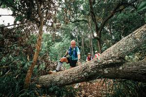 BIB: 
                            <button type="button" onclick="openModal(25531375)" class="btn btn-primary btn-sm float-right btn-popup" data-toggle="modal" data-target=".modal-high-quality">
                        <i class="fas fa-shopping-cart"></i> Add to Cart
                    </button>
                                            <button type="button" onclick="isThisMe(25531375, true)" class="btn btn-success btn-sm float-right btn-popup btn-isme hidden" data-toggle="tooltip" data-placement="bottom" title="นี่คือรูปของคุณใช่ไหม คลิกที่นี่เพื่อเอาเข้าอัลบั้ม">
                        <i class="fas fa-plus"></i> Add to album
                    </button>
                    <button type="button" onclick="isThisMe(25531375, false)" class="btn btn-warning btn-sm float-right btn-popup btn-isnotme hidden">
                        <i class="fas fa-ban"></i> Remove from album
                    </button>