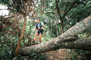 BIB: 
                            <button type="button" onclick="openModal(25543358)" class="btn btn-primary btn-sm float-right btn-popup" data-toggle="modal" data-target=".modal-high-quality">
                        <i class="fas fa-shopping-cart"></i> Add to Cart
                    </button>
                                            <button type="button" onclick="isThisMe(25543358, true)" class="btn btn-success btn-sm float-right btn-popup btn-isme hidden" data-toggle="tooltip" data-placement="bottom" title="นี่คือรูปของคุณใช่ไหม คลิกที่นี่เพื่อเอาเข้าอัลบั้ม">
                        <i class="fas fa-plus"></i> Add to album
                    </button>
                    <button type="button" onclick="isThisMe(25543358, false)" class="btn btn-warning btn-sm float-right btn-popup btn-isnotme hidden">
                        <i class="fas fa-ban"></i> Remove from album
                    </button>