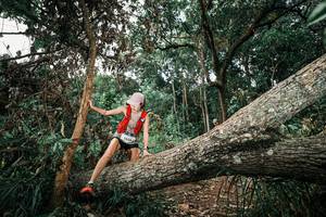 BIB: 
                            <button type="button" onclick="openModal(25544081)" class="btn btn-primary btn-sm float-right btn-popup" data-toggle="modal" data-target=".modal-high-quality">
                        <i class="fas fa-shopping-cart"></i> Add to Cart
                    </button>
                                            <button type="button" onclick="isThisMe(25544081, true)" class="btn btn-success btn-sm float-right btn-popup btn-isme hidden" data-toggle="tooltip" data-placement="bottom" title="นี่คือรูปของคุณใช่ไหม คลิกที่นี่เพื่อเอาเข้าอัลบั้ม">
                        <i class="fas fa-plus"></i> Add to album
                    </button>
                    <button type="button" onclick="isThisMe(25544081, false)" class="btn btn-warning btn-sm float-right btn-popup btn-isnotme hidden">
                        <i class="fas fa-ban"></i> Remove from album
                    </button>