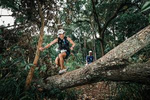 BIB: 
                            <button type="button" onclick="openModal(25536563)" class="btn btn-primary btn-sm float-right btn-popup" data-toggle="modal" data-target=".modal-high-quality">
                        <i class="fas fa-shopping-cart"></i> Add to Cart
                    </button>
                                            <button type="button" onclick="isThisMe(25536563, true)" class="btn btn-success btn-sm float-right btn-popup btn-isme hidden" data-toggle="tooltip" data-placement="bottom" title="นี่คือรูปของคุณใช่ไหม คลิกที่นี่เพื่อเอาเข้าอัลบั้ม">
                        <i class="fas fa-plus"></i> Add to album
                    </button>
                    <button type="button" onclick="isThisMe(25536563, false)" class="btn btn-warning btn-sm float-right btn-popup btn-isnotme hidden">
                        <i class="fas fa-ban"></i> Remove from album
                    </button>