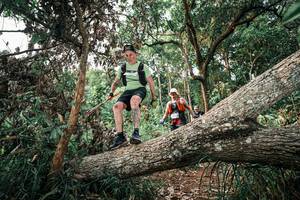 BIB: 
                            <button type="button" onclick="openModal(25527441)" class="btn btn-primary btn-sm float-right btn-popup" data-toggle="modal" data-target=".modal-high-quality">
                        <i class="fas fa-shopping-cart"></i> Add to Cart
                    </button>
                                            <button type="button" onclick="isThisMe(25527441, true)" class="btn btn-success btn-sm float-right btn-popup btn-isme hidden" data-toggle="tooltip" data-placement="bottom" title="นี่คือรูปของคุณใช่ไหม คลิกที่นี่เพื่อเอาเข้าอัลบั้ม">
                        <i class="fas fa-plus"></i> Add to album
                    </button>
                    <button type="button" onclick="isThisMe(25527441, false)" class="btn btn-warning btn-sm float-right btn-popup btn-isnotme hidden">
                        <i class="fas fa-ban"></i> Remove from album
                    </button>