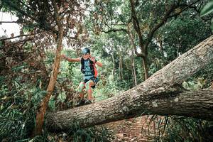 BIB: 
                            <button type="button" onclick="openModal(25545265)" class="btn btn-primary btn-sm float-right btn-popup" data-toggle="modal" data-target=".modal-high-quality">
                        <i class="fas fa-shopping-cart"></i> Add to Cart
                    </button>
                                            <button type="button" onclick="isThisMe(25545265, true)" class="btn btn-success btn-sm float-right btn-popup btn-isme hidden" data-toggle="tooltip" data-placement="bottom" title="นี่คือรูปของคุณใช่ไหม คลิกที่นี่เพื่อเอาเข้าอัลบั้ม">
                        <i class="fas fa-plus"></i> Add to album
                    </button>
                    <button type="button" onclick="isThisMe(25545265, false)" class="btn btn-warning btn-sm float-right btn-popup btn-isnotme hidden">
                        <i class="fas fa-ban"></i> Remove from album
                    </button>