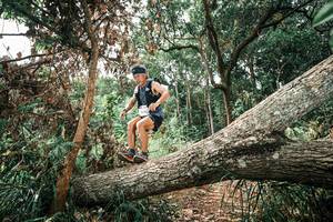 BIB: 
                            <button type="button" onclick="openModal(25545235)" class="btn btn-primary btn-sm float-right btn-popup" data-toggle="modal" data-target=".modal-high-quality">
                        <i class="fas fa-shopping-cart"></i> Add to Cart
                    </button>
                                            <button type="button" onclick="isThisMe(25545235, true)" class="btn btn-success btn-sm float-right btn-popup btn-isme hidden" data-toggle="tooltip" data-placement="bottom" title="นี่คือรูปของคุณใช่ไหม คลิกที่นี่เพื่อเอาเข้าอัลบั้ม">
                        <i class="fas fa-plus"></i> Add to album
                    </button>
                    <button type="button" onclick="isThisMe(25545235, false)" class="btn btn-warning btn-sm float-right btn-popup btn-isnotme hidden">
                        <i class="fas fa-ban"></i> Remove from album
                    </button>