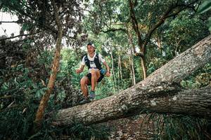 BIB: 
                            <button type="button" onclick="openModal(25526608)" class="btn btn-primary btn-sm float-right btn-popup" data-toggle="modal" data-target=".modal-high-quality">
                        <i class="fas fa-shopping-cart"></i> Add to Cart
                    </button>
                                            <button type="button" onclick="isThisMe(25526608, true)" class="btn btn-success btn-sm float-right btn-popup btn-isme hidden" data-toggle="tooltip" data-placement="bottom" title="นี่คือรูปของคุณใช่ไหม คลิกที่นี่เพื่อเอาเข้าอัลบั้ม">
                        <i class="fas fa-plus"></i> Add to album
                    </button>
                    <button type="button" onclick="isThisMe(25526608, false)" class="btn btn-warning btn-sm float-right btn-popup btn-isnotme hidden">
                        <i class="fas fa-ban"></i> Remove from album
                    </button>