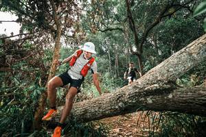 BIB: 
                            <button type="button" onclick="openModal(25548012)" class="btn btn-primary btn-sm float-right btn-popup" data-toggle="modal" data-target=".modal-high-quality">
                        <i class="fas fa-shopping-cart"></i> Add to Cart
                    </button>
                                            <button type="button" onclick="isThisMe(25548012, true)" class="btn btn-success btn-sm float-right btn-popup btn-isme hidden" data-toggle="tooltip" data-placement="bottom" title="นี่คือรูปของคุณใช่ไหม คลิกที่นี่เพื่อเอาเข้าอัลบั้ม">
                        <i class="fas fa-plus"></i> Add to album
                    </button>
                    <button type="button" onclick="isThisMe(25548012, false)" class="btn btn-warning btn-sm float-right btn-popup btn-isnotme hidden">
                        <i class="fas fa-ban"></i> Remove from album
                    </button>