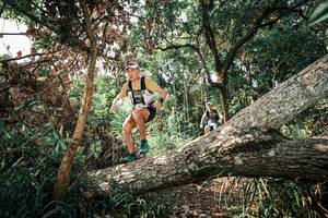 BIB: 
                            <button type="button" onclick="openModal(25535402)" class="btn btn-primary btn-sm float-right btn-popup" data-toggle="modal" data-target=".modal-high-quality">
                        <i class="fas fa-shopping-cart"></i> Add to Cart
                    </button>
                                            <button type="button" onclick="isThisMe(25535402, true)" class="btn btn-success btn-sm float-right btn-popup btn-isme hidden" data-toggle="tooltip" data-placement="bottom" title="นี่คือรูปของคุณใช่ไหม คลิกที่นี่เพื่อเอาเข้าอัลบั้ม">
                        <i class="fas fa-plus"></i> Add to album
                    </button>
                    <button type="button" onclick="isThisMe(25535402, false)" class="btn btn-warning btn-sm float-right btn-popup btn-isnotme hidden">
                        <i class="fas fa-ban"></i> Remove from album
                    </button>