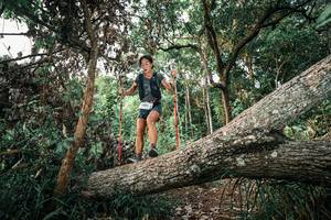 BIB: 
                            <button type="button" onclick="openModal(25528804)" class="btn btn-primary btn-sm float-right btn-popup" data-toggle="modal" data-target=".modal-high-quality">
                        <i class="fas fa-shopping-cart"></i> Add to Cart
                    </button>
                                            <button type="button" onclick="isThisMe(25528804, true)" class="btn btn-success btn-sm float-right btn-popup btn-isme hidden" data-toggle="tooltip" data-placement="bottom" title="นี่คือรูปของคุณใช่ไหม คลิกที่นี่เพื่อเอาเข้าอัลบั้ม">
                        <i class="fas fa-plus"></i> Add to album
                    </button>
                    <button type="button" onclick="isThisMe(25528804, false)" class="btn btn-warning btn-sm float-right btn-popup btn-isnotme hidden">
                        <i class="fas fa-ban"></i> Remove from album
                    </button>