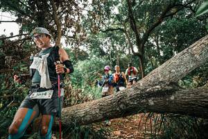 BIB: 
                            <button type="button" onclick="openModal(25548159)" class="btn btn-primary btn-sm float-right btn-popup" data-toggle="modal" data-target=".modal-high-quality">
                        <i class="fas fa-shopping-cart"></i> Add to Cart
                    </button>
                                            <button type="button" onclick="isThisMe(25548159, true)" class="btn btn-success btn-sm float-right btn-popup btn-isme hidden" data-toggle="tooltip" data-placement="bottom" title="นี่คือรูปของคุณใช่ไหม คลิกที่นี่เพื่อเอาเข้าอัลบั้ม">
                        <i class="fas fa-plus"></i> Add to album
                    </button>
                    <button type="button" onclick="isThisMe(25548159, false)" class="btn btn-warning btn-sm float-right btn-popup btn-isnotme hidden">
                        <i class="fas fa-ban"></i> Remove from album
                    </button>