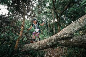 BIB: 
                            <button type="button" onclick="openModal(25526399)" class="btn btn-primary btn-sm float-right btn-popup" data-toggle="modal" data-target=".modal-high-quality">
                        <i class="fas fa-shopping-cart"></i> Add to Cart
                    </button>
                                            <button type="button" onclick="isThisMe(25526399, true)" class="btn btn-success btn-sm float-right btn-popup btn-isme hidden" data-toggle="tooltip" data-placement="bottom" title="นี่คือรูปของคุณใช่ไหม คลิกที่นี่เพื่อเอาเข้าอัลบั้ม">
                        <i class="fas fa-plus"></i> Add to album
                    </button>
                    <button type="button" onclick="isThisMe(25526399, false)" class="btn btn-warning btn-sm float-right btn-popup btn-isnotme hidden">
                        <i class="fas fa-ban"></i> Remove from album
                    </button>