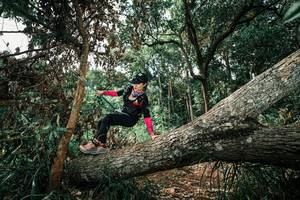 BIB: 
                            <button type="button" onclick="openModal(25548717)" class="btn btn-primary btn-sm float-right btn-popup" data-toggle="modal" data-target=".modal-high-quality">
                        <i class="fas fa-shopping-cart"></i> Add to Cart
                    </button>
                                            <button type="button" onclick="isThisMe(25548717, true)" class="btn btn-success btn-sm float-right btn-popup btn-isme hidden" data-toggle="tooltip" data-placement="bottom" title="นี่คือรูปของคุณใช่ไหม คลิกที่นี่เพื่อเอาเข้าอัลบั้ม">
                        <i class="fas fa-plus"></i> Add to album
                    </button>
                    <button type="button" onclick="isThisMe(25548717, false)" class="btn btn-warning btn-sm float-right btn-popup btn-isnotme hidden">
                        <i class="fas fa-ban"></i> Remove from album
                    </button>