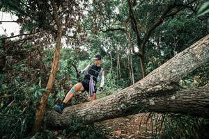 BIB: 
                            <button type="button" onclick="openModal(25544328)" class="btn btn-primary btn-sm float-right btn-popup" data-toggle="modal" data-target=".modal-high-quality">
                        <i class="fas fa-shopping-cart"></i> Add to Cart
                    </button>
                                            <button type="button" onclick="isThisMe(25544328, true)" class="btn btn-success btn-sm float-right btn-popup btn-isme hidden" data-toggle="tooltip" data-placement="bottom" title="นี่คือรูปของคุณใช่ไหม คลิกที่นี่เพื่อเอาเข้าอัลบั้ม">
                        <i class="fas fa-plus"></i> Add to album
                    </button>
                    <button type="button" onclick="isThisMe(25544328, false)" class="btn btn-warning btn-sm float-right btn-popup btn-isnotme hidden">
                        <i class="fas fa-ban"></i> Remove from album
                    </button>