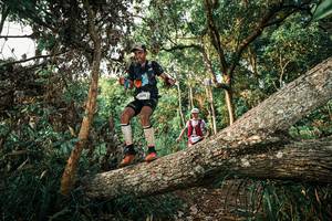 BIB: 
                            <button type="button" onclick="openModal(25525959)" class="btn btn-primary btn-sm float-right btn-popup" data-toggle="modal" data-target=".modal-high-quality">
                        <i class="fas fa-shopping-cart"></i> Add to Cart
                    </button>
                                            <button type="button" onclick="isThisMe(25525959, true)" class="btn btn-success btn-sm float-right btn-popup btn-isme hidden" data-toggle="tooltip" data-placement="bottom" title="นี่คือรูปของคุณใช่ไหม คลิกที่นี่เพื่อเอาเข้าอัลบั้ม">
                        <i class="fas fa-plus"></i> Add to album
                    </button>
                    <button type="button" onclick="isThisMe(25525959, false)" class="btn btn-warning btn-sm float-right btn-popup btn-isnotme hidden">
                        <i class="fas fa-ban"></i> Remove from album
                    </button>