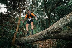 BIB: 
                            <button type="button" onclick="openModal(25550236)" class="btn btn-primary btn-sm float-right btn-popup" data-toggle="modal" data-target=".modal-high-quality">
                        <i class="fas fa-shopping-cart"></i> Add to Cart
                    </button>
                                            <button type="button" onclick="isThisMe(25550236, true)" class="btn btn-success btn-sm float-right btn-popup btn-isme hidden" data-toggle="tooltip" data-placement="bottom" title="นี่คือรูปของคุณใช่ไหม คลิกที่นี่เพื่อเอาเข้าอัลบั้ม">
                        <i class="fas fa-plus"></i> Add to album
                    </button>
                    <button type="button" onclick="isThisMe(25550236, false)" class="btn btn-warning btn-sm float-right btn-popup btn-isnotme hidden">
                        <i class="fas fa-ban"></i> Remove from album
                    </button>