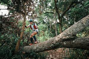 BIB: 
                            <button type="button" onclick="openModal(25533643)" class="btn btn-primary btn-sm float-right btn-popup" data-toggle="modal" data-target=".modal-high-quality">
                        <i class="fas fa-shopping-cart"></i> Add to Cart
                    </button>
                                            <button type="button" onclick="isThisMe(25533643, true)" class="btn btn-success btn-sm float-right btn-popup btn-isme hidden" data-toggle="tooltip" data-placement="bottom" title="นี่คือรูปของคุณใช่ไหม คลิกที่นี่เพื่อเอาเข้าอัลบั้ม">
                        <i class="fas fa-plus"></i> Add to album
                    </button>
                    <button type="button" onclick="isThisMe(25533643, false)" class="btn btn-warning btn-sm float-right btn-popup btn-isnotme hidden">
                        <i class="fas fa-ban"></i> Remove from album
                    </button>