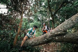 BIB: 
                            <button type="button" onclick="openModal(25532277)" class="btn btn-primary btn-sm float-right btn-popup" data-toggle="modal" data-target=".modal-high-quality">
                        <i class="fas fa-shopping-cart"></i> Add to Cart
                    </button>
                                            <button type="button" onclick="isThisMe(25532277, true)" class="btn btn-success btn-sm float-right btn-popup btn-isme hidden" data-toggle="tooltip" data-placement="bottom" title="นี่คือรูปของคุณใช่ไหม คลิกที่นี่เพื่อเอาเข้าอัลบั้ม">
                        <i class="fas fa-plus"></i> Add to album
                    </button>
                    <button type="button" onclick="isThisMe(25532277, false)" class="btn btn-warning btn-sm float-right btn-popup btn-isnotme hidden">
                        <i class="fas fa-ban"></i> Remove from album
                    </button>