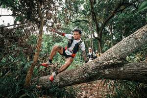 BIB: 
                            <button type="button" onclick="openModal(25529988)" class="btn btn-primary btn-sm float-right btn-popup" data-toggle="modal" data-target=".modal-high-quality">
                        <i class="fas fa-shopping-cart"></i> Add to Cart
                    </button>
                                            <button type="button" onclick="isThisMe(25529988, true)" class="btn btn-success btn-sm float-right btn-popup btn-isme hidden" data-toggle="tooltip" data-placement="bottom" title="นี่คือรูปของคุณใช่ไหม คลิกที่นี่เพื่อเอาเข้าอัลบั้ม">
                        <i class="fas fa-plus"></i> Add to album
                    </button>
                    <button type="button" onclick="isThisMe(25529988, false)" class="btn btn-warning btn-sm float-right btn-popup btn-isnotme hidden">
                        <i class="fas fa-ban"></i> Remove from album
                    </button>