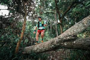 BIB: 
                            <button type="button" onclick="openModal(25527861)" class="btn btn-primary btn-sm float-right btn-popup" data-toggle="modal" data-target=".modal-high-quality">
                        <i class="fas fa-shopping-cart"></i> Add to Cart
                    </button>
                                            <button type="button" onclick="isThisMe(25527861, true)" class="btn btn-success btn-sm float-right btn-popup btn-isme hidden" data-toggle="tooltip" data-placement="bottom" title="นี่คือรูปของคุณใช่ไหม คลิกที่นี่เพื่อเอาเข้าอัลบั้ม">
                        <i class="fas fa-plus"></i> Add to album
                    </button>
                    <button type="button" onclick="isThisMe(25527861, false)" class="btn btn-warning btn-sm float-right btn-popup btn-isnotme hidden">
                        <i class="fas fa-ban"></i> Remove from album
                    </button>