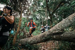 BIB: 
                            <button type="button" onclick="openModal(25530851)" class="btn btn-primary btn-sm float-right btn-popup" data-toggle="modal" data-target=".modal-high-quality">
                        <i class="fas fa-shopping-cart"></i> Add to Cart
                    </button>
                                            <button type="button" onclick="isThisMe(25530851, true)" class="btn btn-success btn-sm float-right btn-popup btn-isme hidden" data-toggle="tooltip" data-placement="bottom" title="นี่คือรูปของคุณใช่ไหม คลิกที่นี่เพื่อเอาเข้าอัลบั้ม">
                        <i class="fas fa-plus"></i> Add to album
                    </button>
                    <button type="button" onclick="isThisMe(25530851, false)" class="btn btn-warning btn-sm float-right btn-popup btn-isnotme hidden">
                        <i class="fas fa-ban"></i> Remove from album
                    </button>