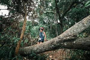 BIB: 
                            <button type="button" onclick="openModal(25539289)" class="btn btn-primary btn-sm float-right btn-popup" data-toggle="modal" data-target=".modal-high-quality">
                        <i class="fas fa-shopping-cart"></i> Add to Cart
                    </button>
                                            <button type="button" onclick="isThisMe(25539289, true)" class="btn btn-success btn-sm float-right btn-popup btn-isme hidden" data-toggle="tooltip" data-placement="bottom" title="นี่คือรูปของคุณใช่ไหม คลิกที่นี่เพื่อเอาเข้าอัลบั้ม">
                        <i class="fas fa-plus"></i> Add to album
                    </button>
                    <button type="button" onclick="isThisMe(25539289, false)" class="btn btn-warning btn-sm float-right btn-popup btn-isnotme hidden">
                        <i class="fas fa-ban"></i> Remove from album
                    </button>